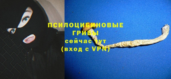 стафф Алзамай