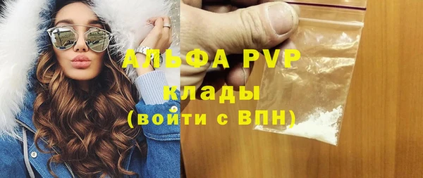 стафф Алзамай