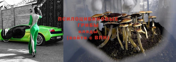 стафф Алзамай