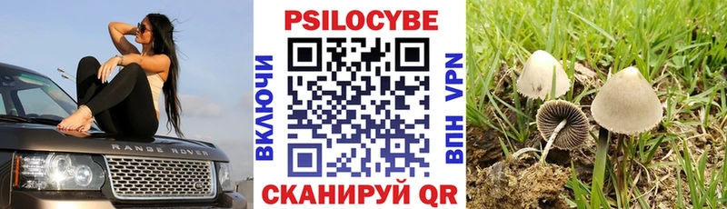Псилоцибиновые грибы мухоморы  Безенчук 